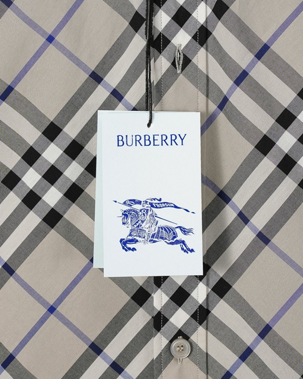 ブランドシャツ着用イメージ